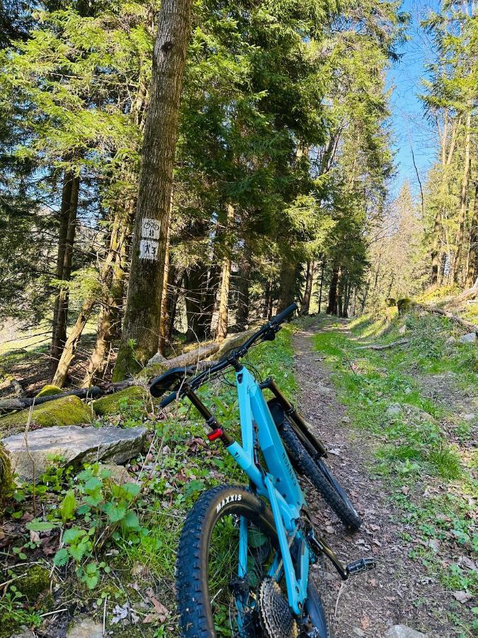 Black Hills Czarna Gora / Bike ^ *